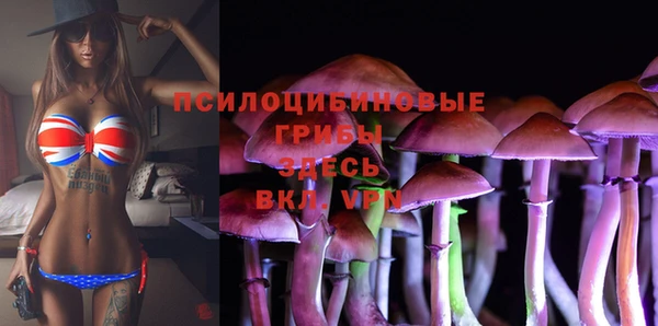 шишки Богданович