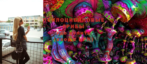 молекула духа Белоозёрский