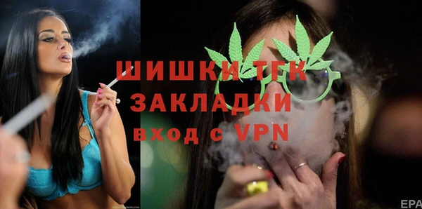 гашик Белокуриха
