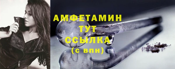гашик Белокуриха