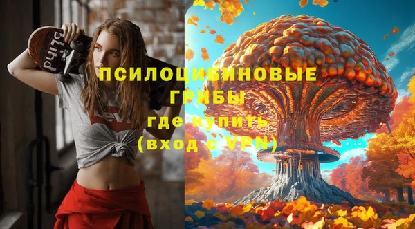 гашик Белокуриха